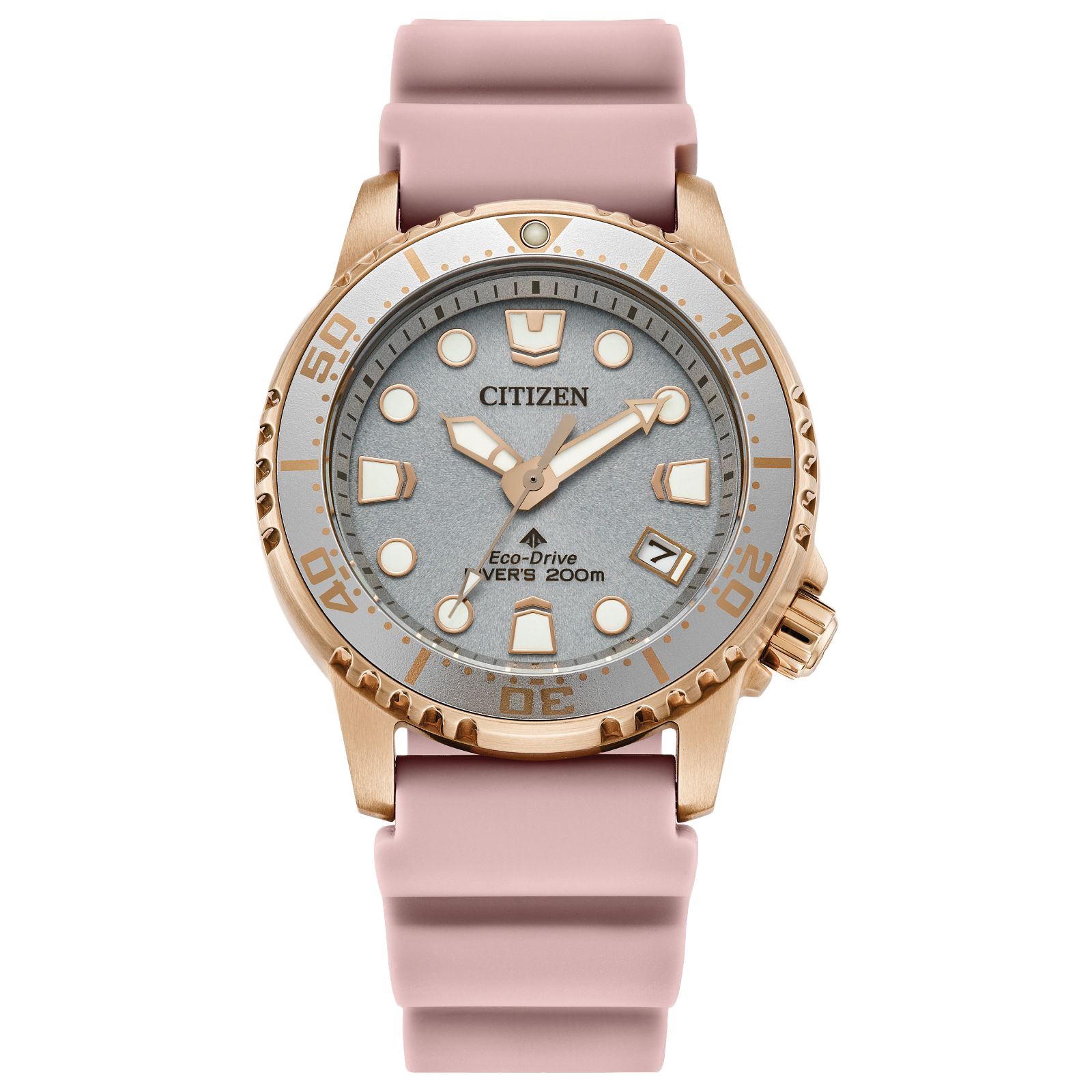 Promaster Dive - PERDONA