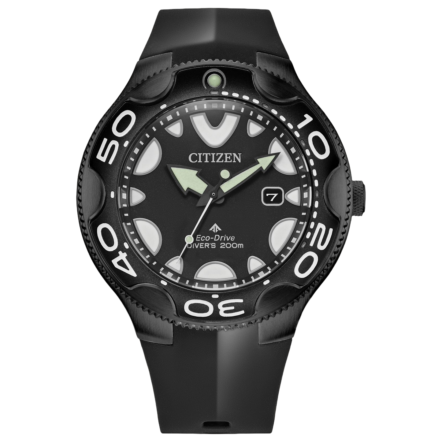 Promaster Dive "Orca" - PERDONA