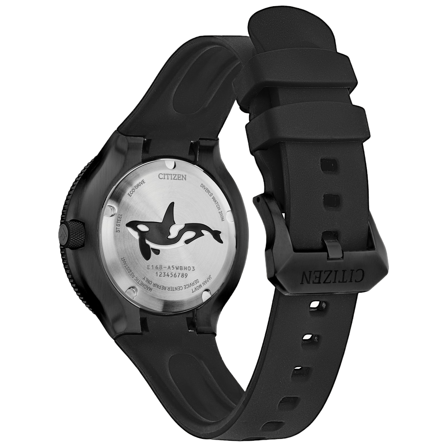 Promaster Dive "Orca" - PERDONA